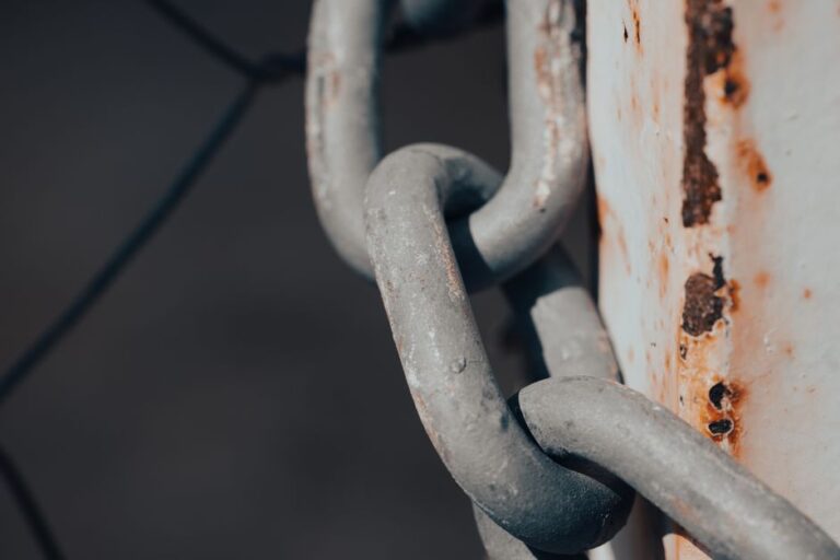 Backlinks Tóxicos: 7 Técnicas Esenciales para Evitar la Penalización de Google en 2026