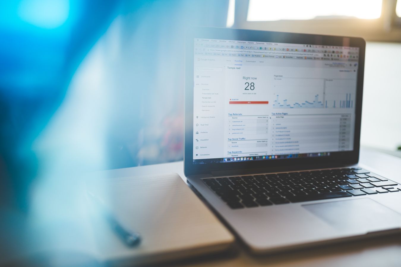 canibalización SEO detectada en un panel de análisis